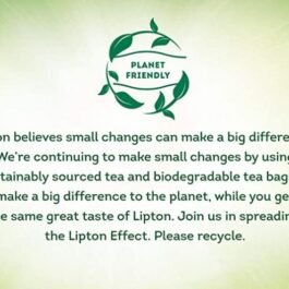Lipton Honey Lemon Green Tea Bags, 100 Pc